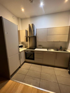BigKings Cosy 2 bedroom apartment with free parking in central Manchester